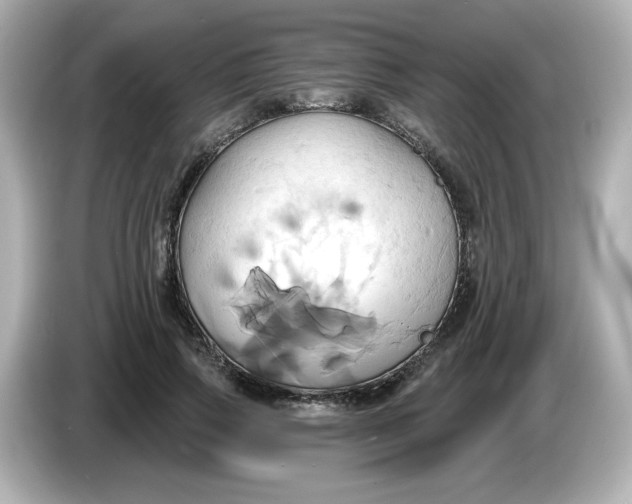 X0000086020741200704091113