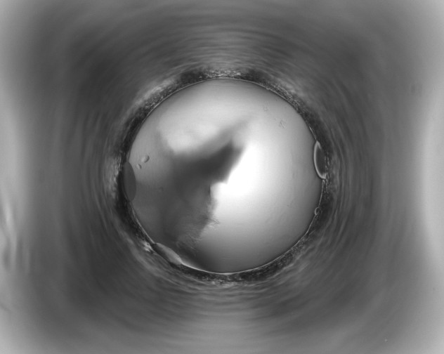 X0000086020742200704091113