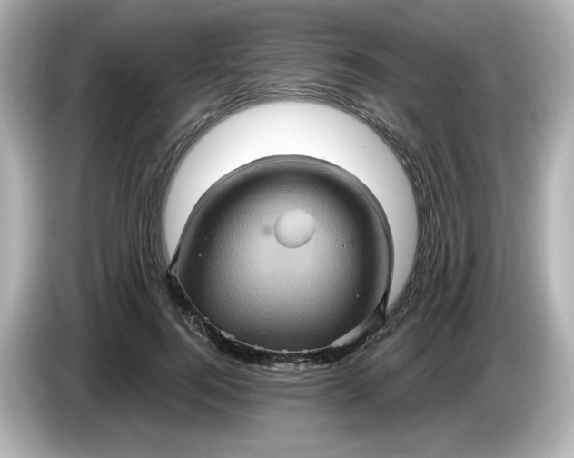 X0000086020744200704091113