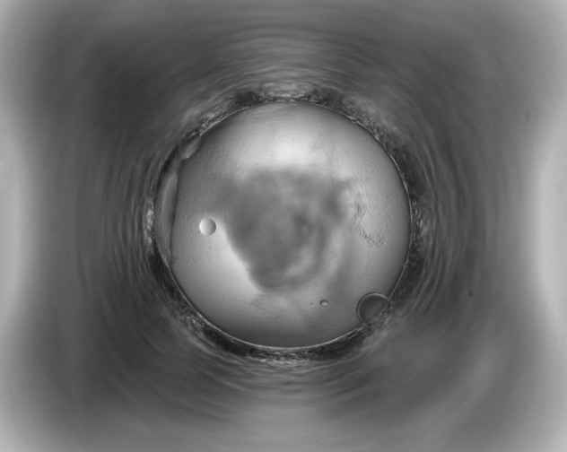 X0000086020745200704091113