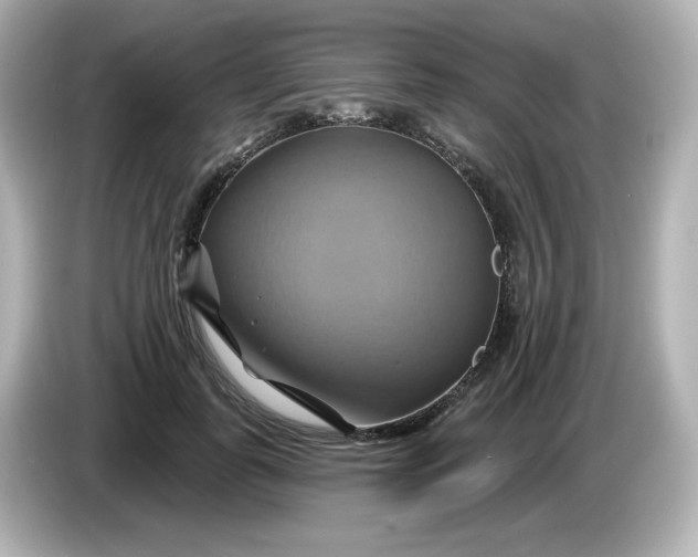 X0000086020747200704091113