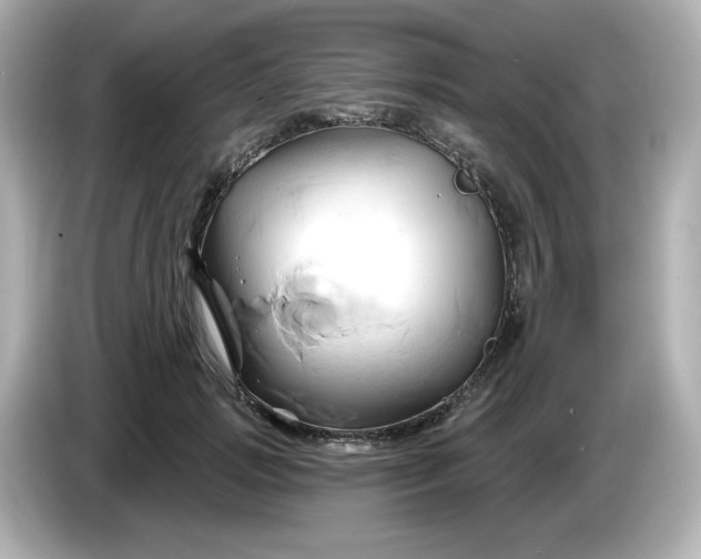 X0000086020749200704091113