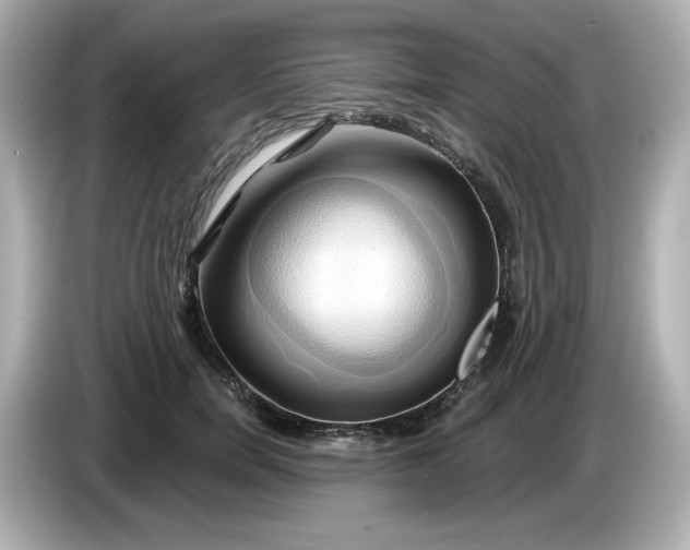 X0000086020750200704091113