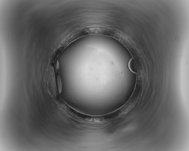 X0000086020751200704091113