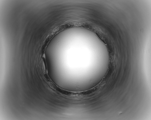 X0000086020752200704091113