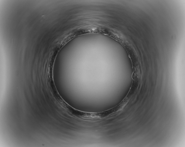 X0000086020754200704091113