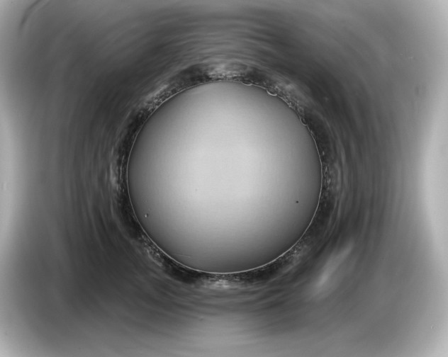 X0000086020755200704091113