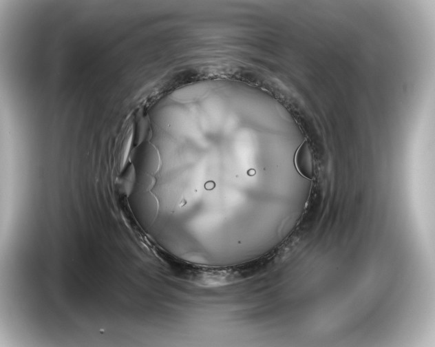 X0000086020757200704091113