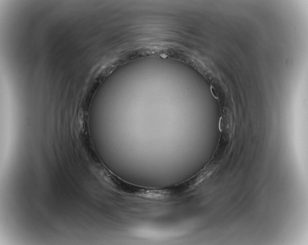 X0000086020758200704091113