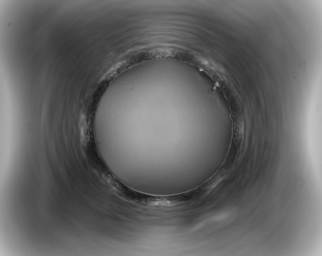 X0000086020759200704091113