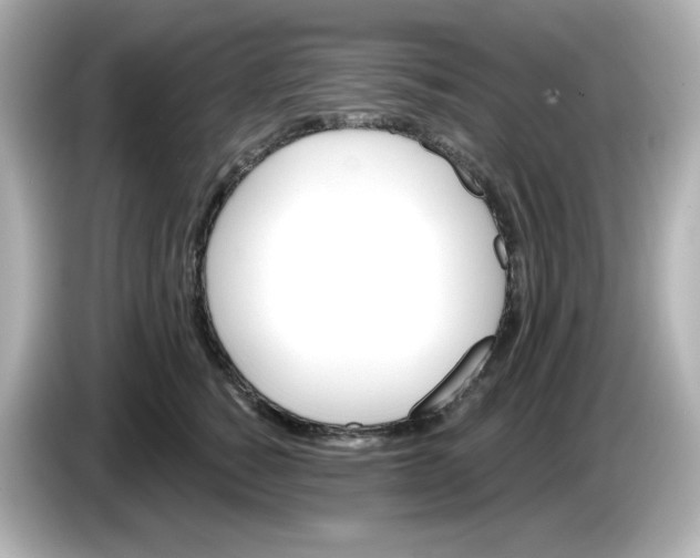 X0000086020760200704091113