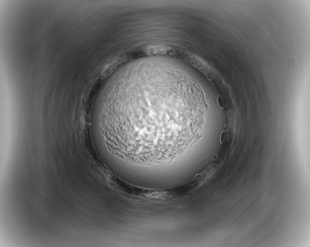 X0000086020761200704091113