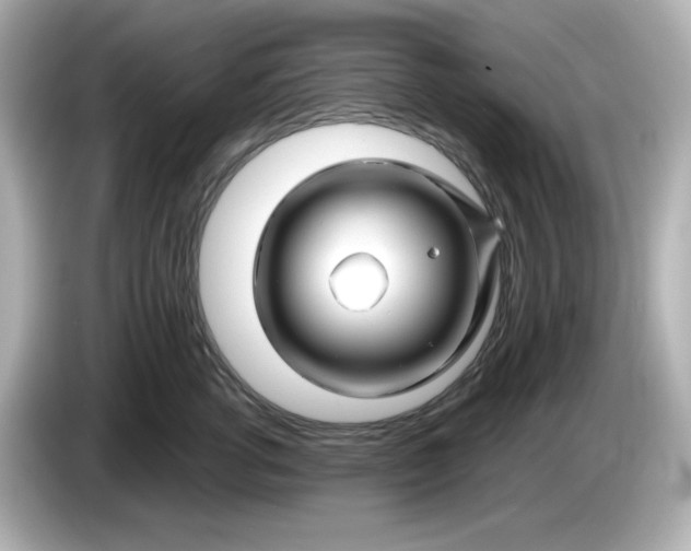 X0000086020762200704091113