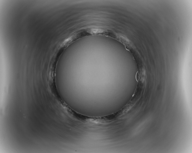 X0000086020763200704091113