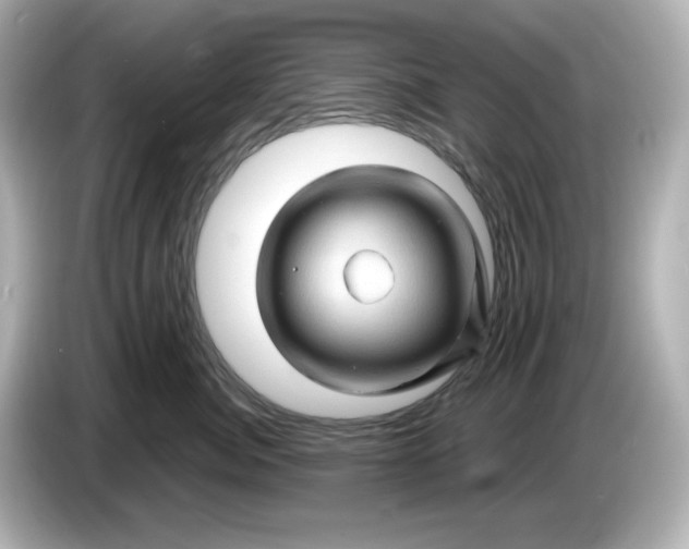 X0000086020764200704091113