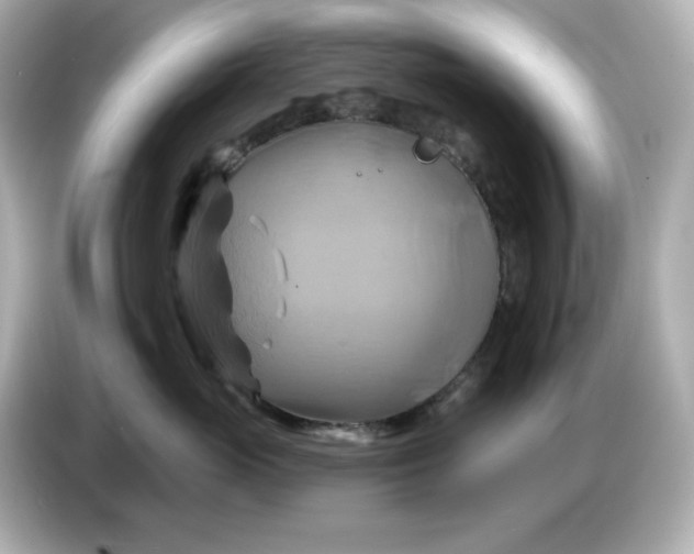 X0000086020765200704091113