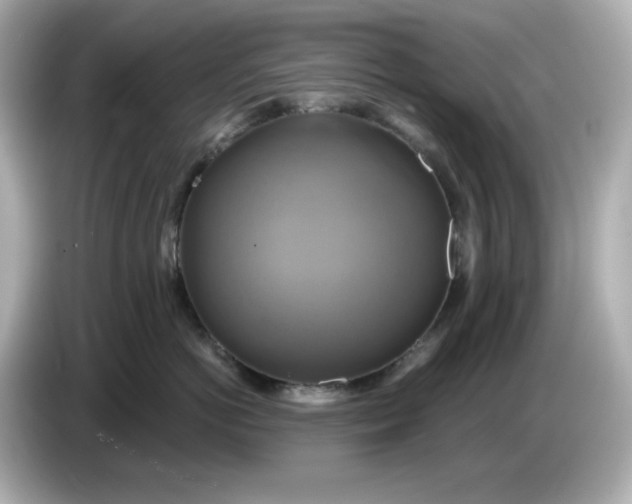 X0000086020766200704091113