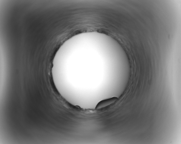 X0000086020768200704091113