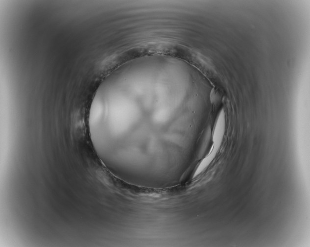 X0000086020771200704091113