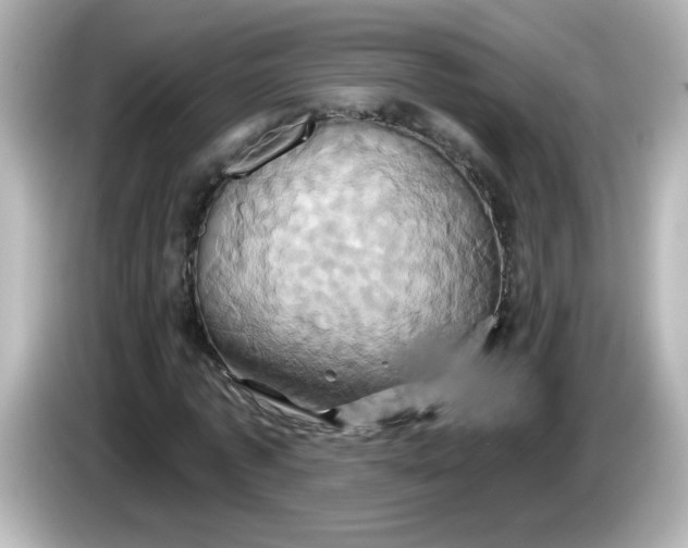 X0000086020773200704091113