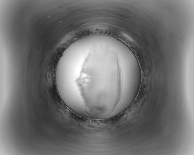 X0000086020774200704091113