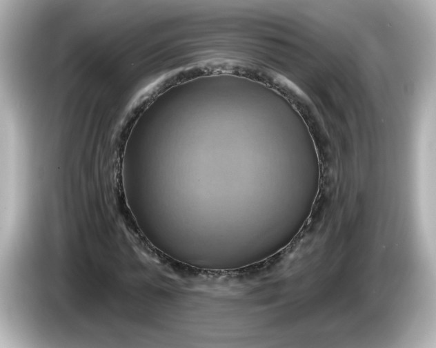 X0000086020775200704091113