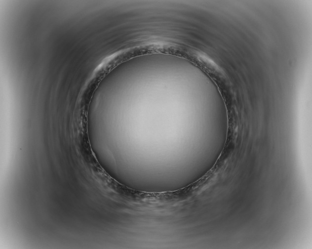 X0000086020776200704091113