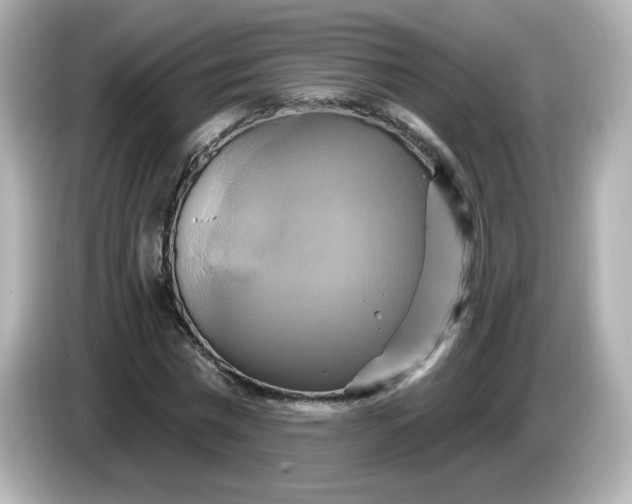 X0000086020777200704091113