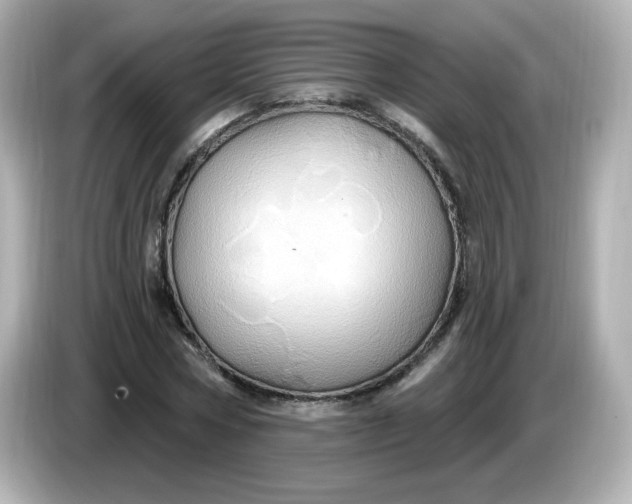X0000086020778200704091113