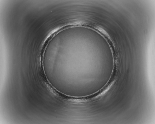 X0000086020781200704091113