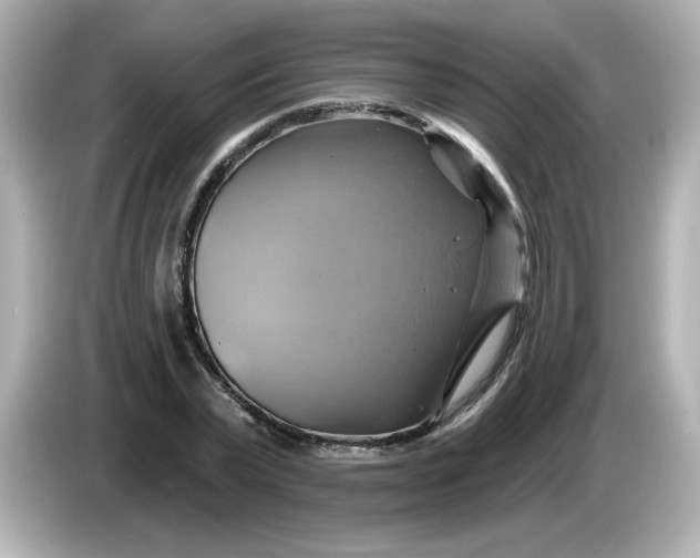 X0000086020783200704091113