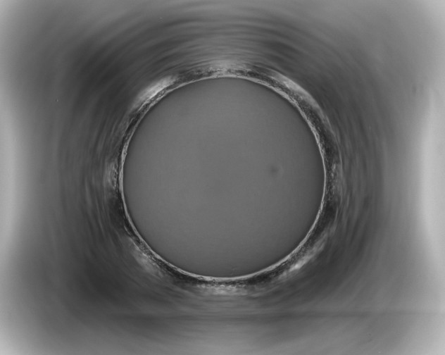 X0000086020785200704091113