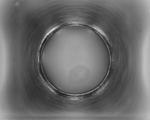 X0000086020790200704091113