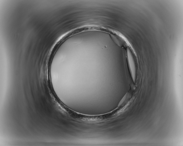 X0000086020791200704091113