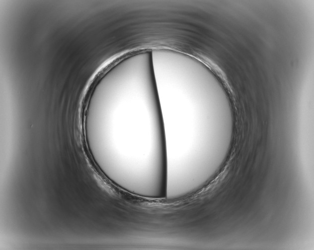 X0000086020792200704091113