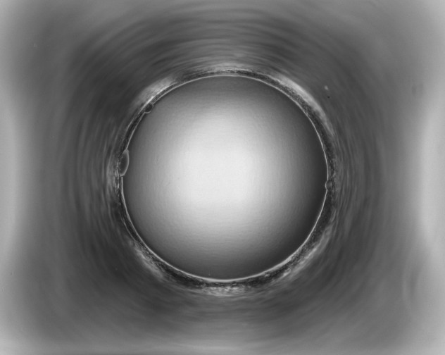 X0000086020793200704091113
