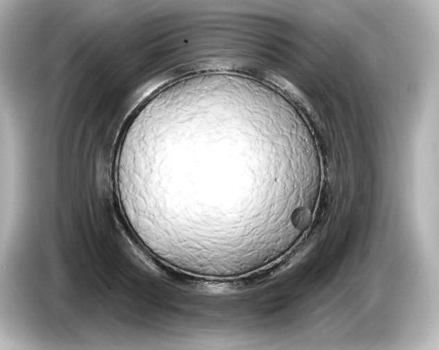 X0000086020794200704091113