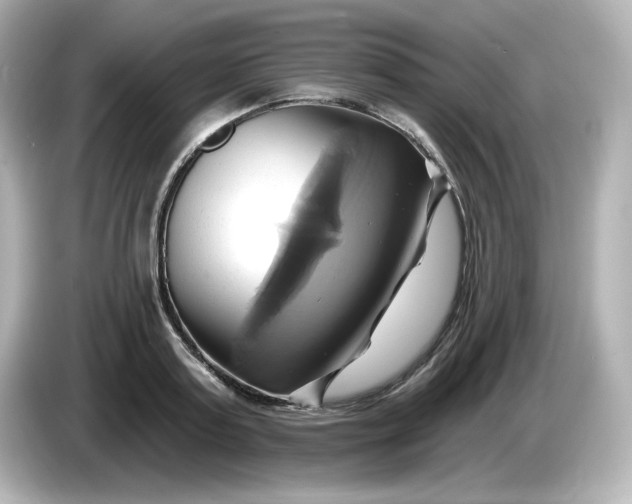 X0000086020795200704091113