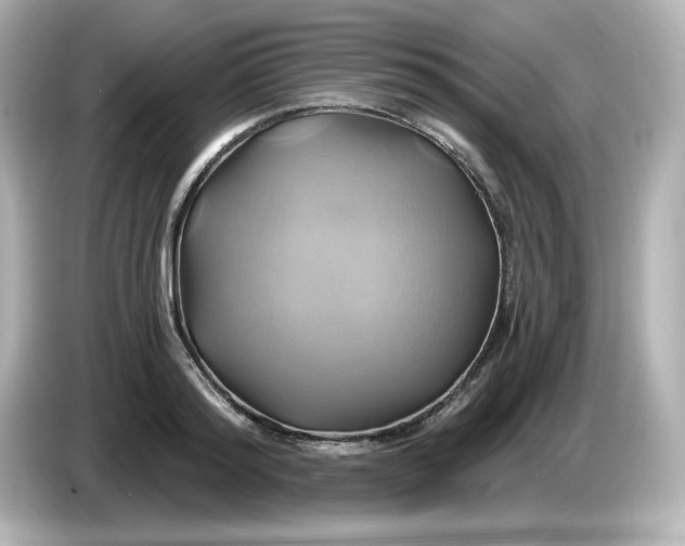 X0000086020796200704091113