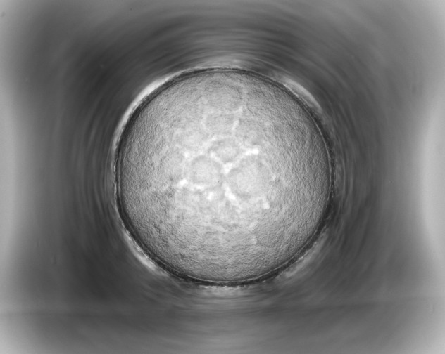 X0000086020800200704091113