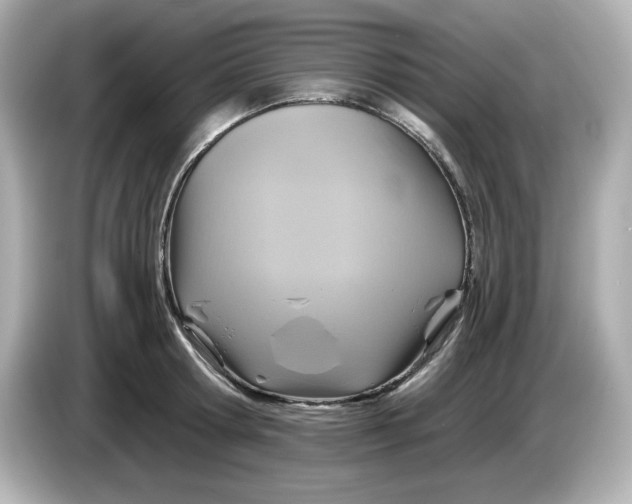 X0000086020802200704091112