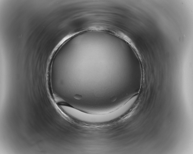 X0000086020803200704091112
