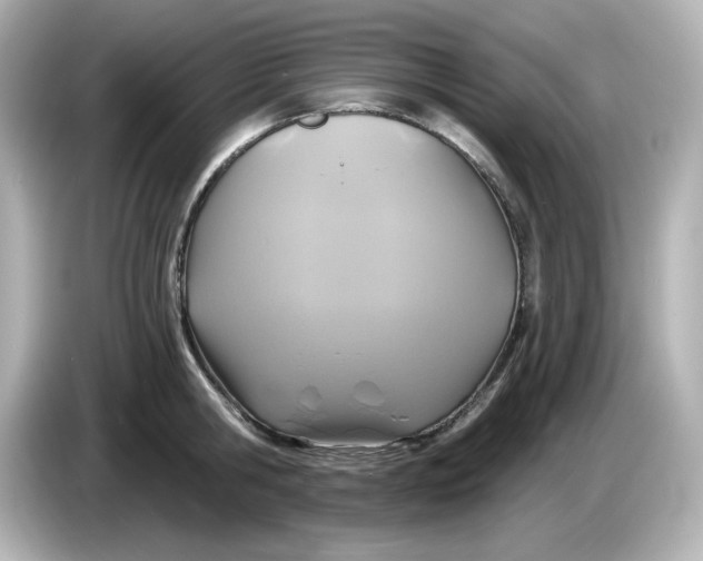 X0000086020806200704091112
