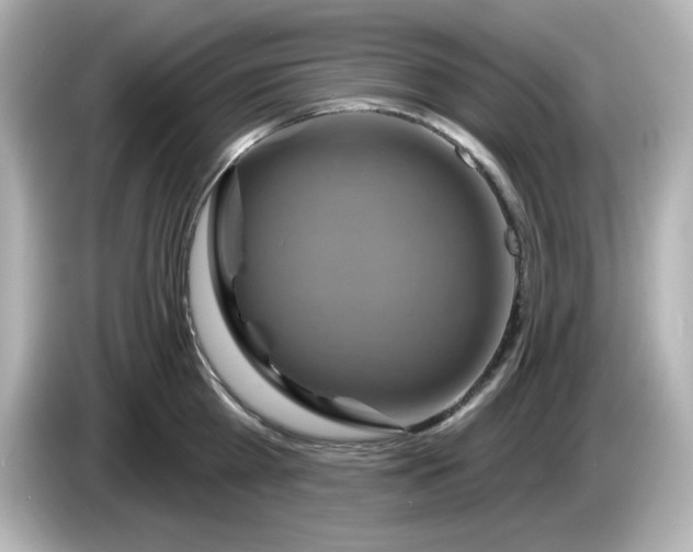 X0000086020809200704091112