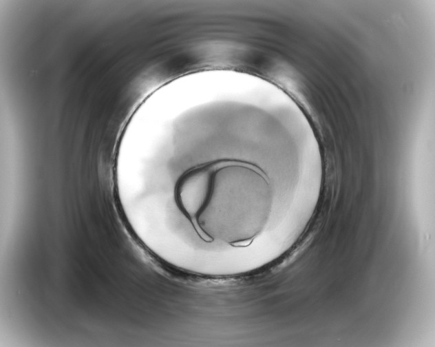 X0000086020810200704091112