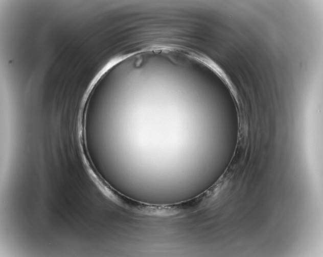 X0000086020811200704091112