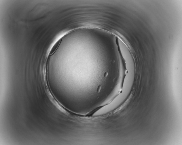 X0000086020812200704091112
