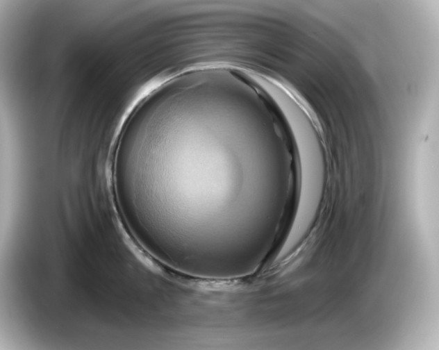 X0000086020813200704091112