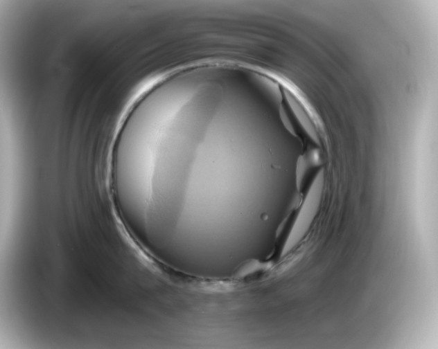 X0000086020815200704091112
