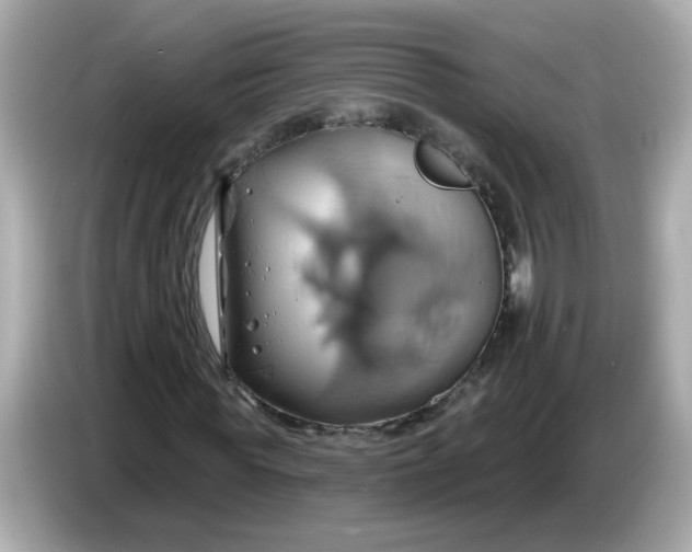 X0000086020819200704091112